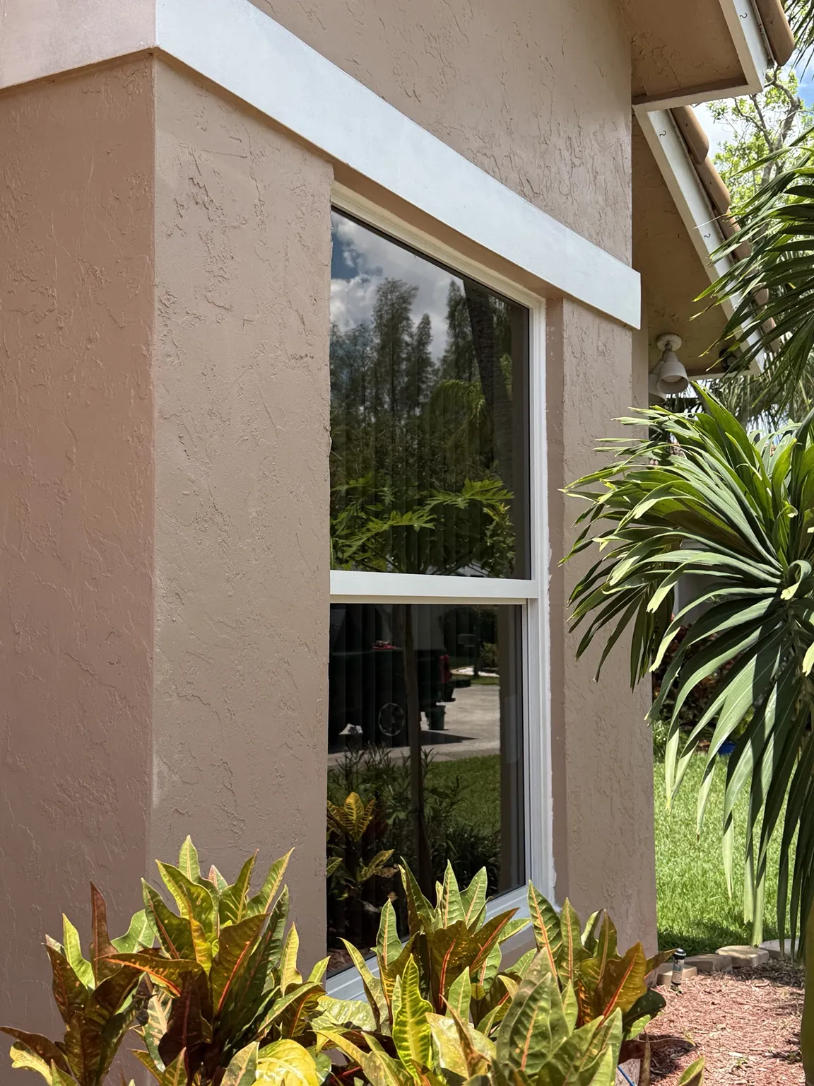Completed impact window surrounded by South Florida landscaping